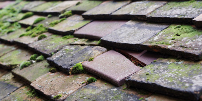 Penmynydd roof repair costs